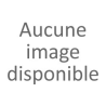 Fauvisme